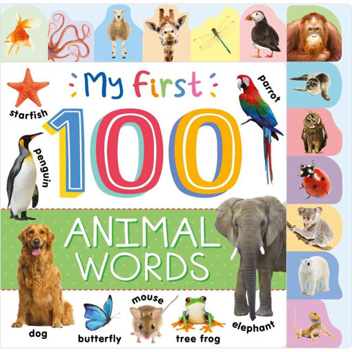 Picture of MY FIRST 1000 ANIMAL WORDS BOARD BOOK